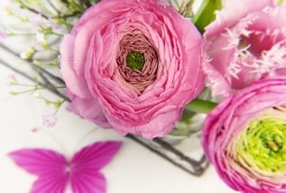 Muttertag pixabay ranunculus 3176396 1280 medium